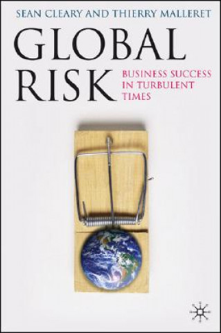 Kniha Global Risk Sean Cleary