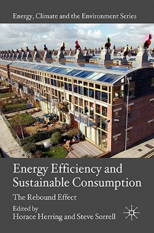 Книга Energy Efficiency and Sustainable Consumption H. Herring