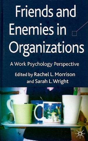 Kniha Friends and Enemies in Organizations R. Morrison