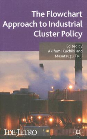 Carte Flowchart Approach to Industrial Cluster Policy A. Kuchiki