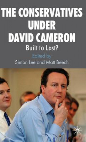 Carte Conservatives under David Cameron S. Lee