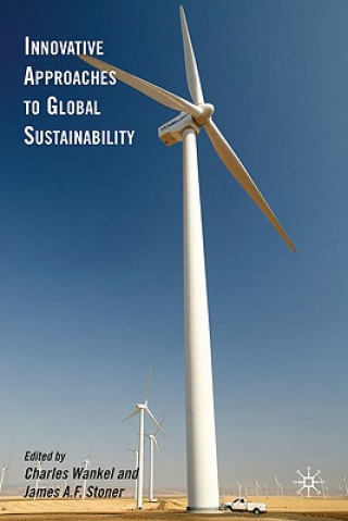 Buch Innovative Approaches to Global Sustainability C. Wankel