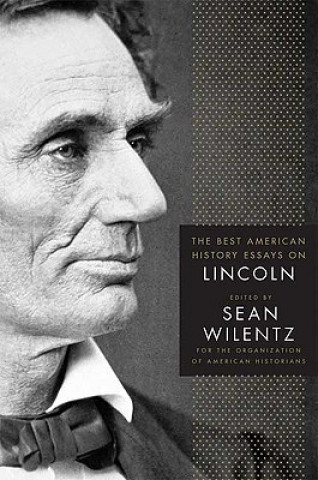 Kniha Best American History Essays on Lincoln Organization of American Historians