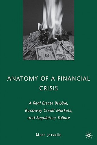 Buch Anatomy of a Financial Crisis Marc Jarsulic