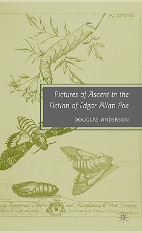 Kniha Pictures of Ascent in the Fiction of Edgar Allan Poe Douglas Anderson