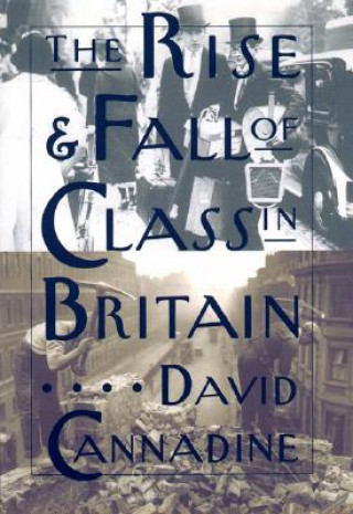 Könyv Rise and Fall of Class in Britain David Cannadine