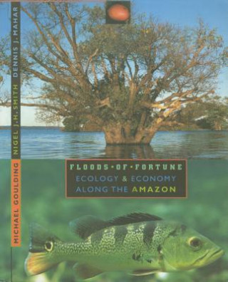 Kniha Floods of Fortune Michael Goulding