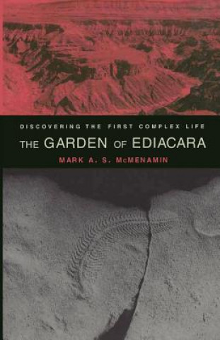 Könyv Garden of Ediacara Mark A. S. McMenamin