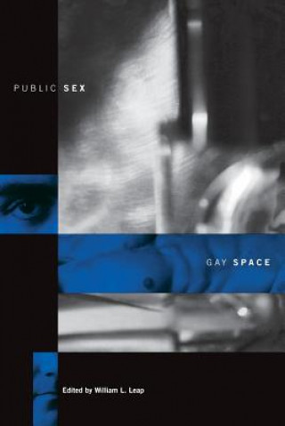 Book Public Sex/Gay Space William Leap