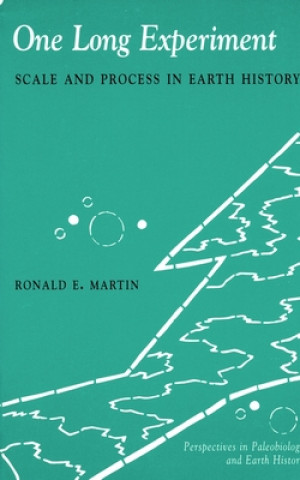 Βιβλίο One Long Experiment Ronald E. Martin