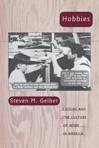 Knjiga Hobbies Steven M. Gelber