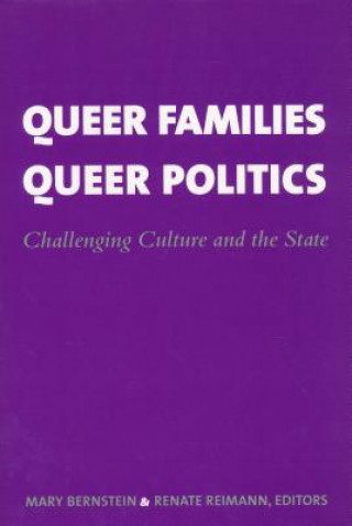 Kniha Queer Families, Queer Politics Mary Bernstein
