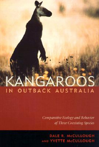 Carte Kangaroos in Outback Australia Dale R. McCullough