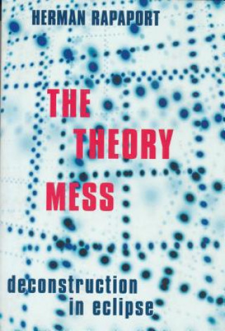 Kniha Theory Mess Herman Rapaport