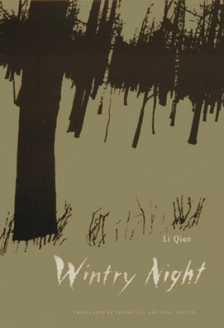 Kniha Wintry Night Li Qiao