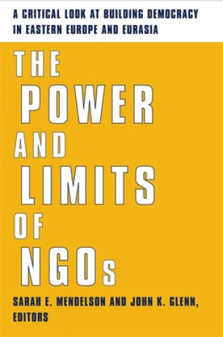 Książka Power and Limits of NGOs Sarah Mendelson