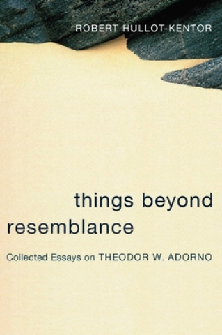 Buch Things Beyond Resemblance Robert Hullot-Kentor