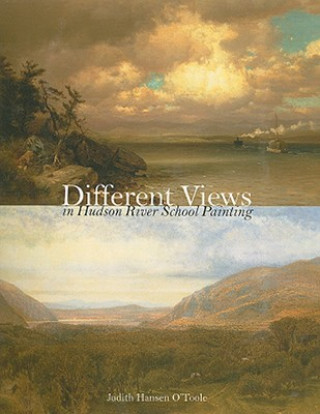 Könyv Different Views in Hudson River School Painting Judith H. O'Toole