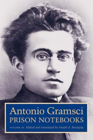 Kniha Prison Notebooks Antonio Gramsci