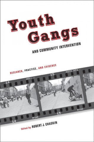 Książka Youth Gangs and Community Intervention 