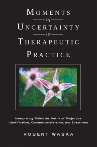 Kniha Moments of Uncertainty in Therapeutic Practice Robert Waska