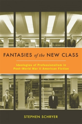 Könyv Fantasies of the New Class Stephen Schryer