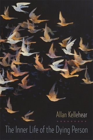 Könyv Inner Life of the Dying Person Allan Kellehear