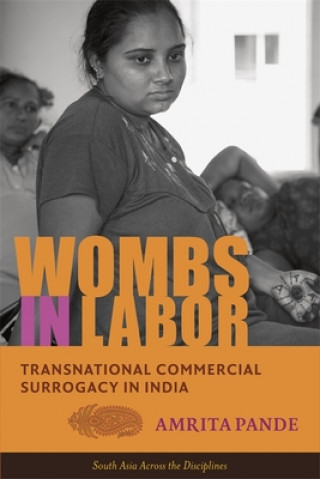 Книга Wombs in Labor Amrita Pande