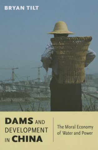 Könyv Dams and Development in China Bryan Tilt