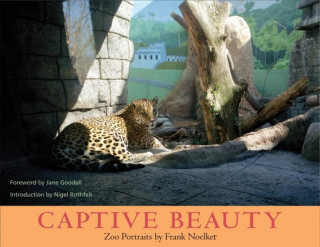 Książka Captive Beauty Frank Noelker