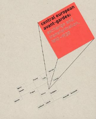 Könyv Central European Avant-Gardes Peter Nadas