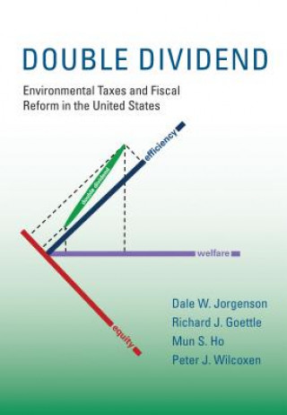 Book Double Dividend Dale W. Jorgenson