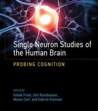 Könyv Single Neuron Studies of the Human Brain Itzhak Fried
