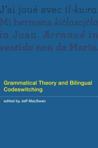 Kniha Grammatical Theory and Bilingual Codeswitching Jeff MacSwan