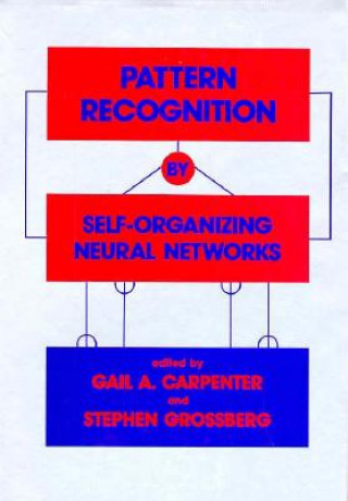 Libro Pattern Recognition by Self-Organising Neural Networks 