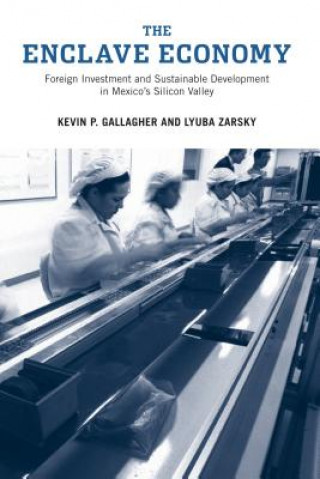 Könyv Enclave Economy Kevin P. Gallagher