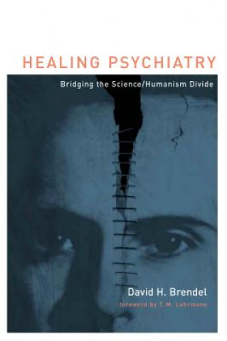 Könyv Healing Psychiatry David H. Brendel
