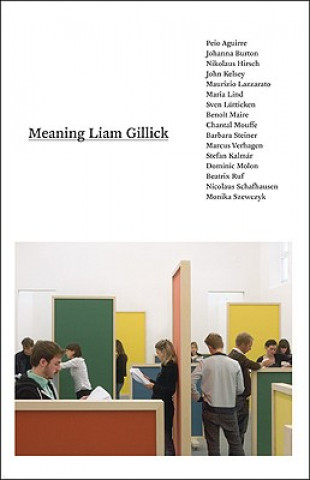 Книга Meaning Liam Gillick Monika Szewczyk