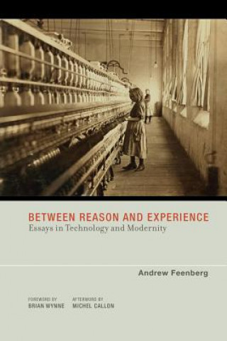 Книга Between Reason and Experience Andrew Feenberg