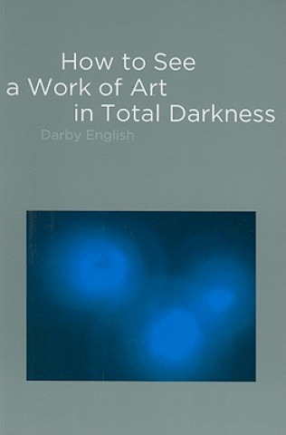 Könyv How to See a Work of Art in Total Darkness Darby English