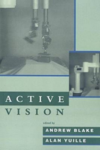 Kniha Active Vision Andrew Blake