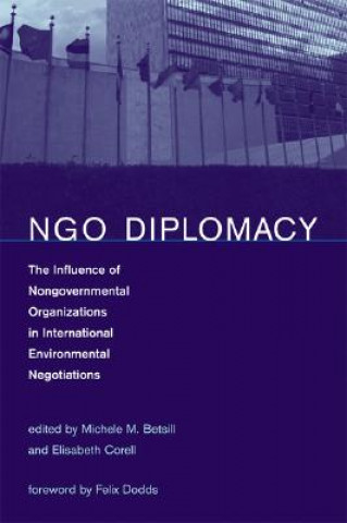 Könyv NGO Diplomacy 