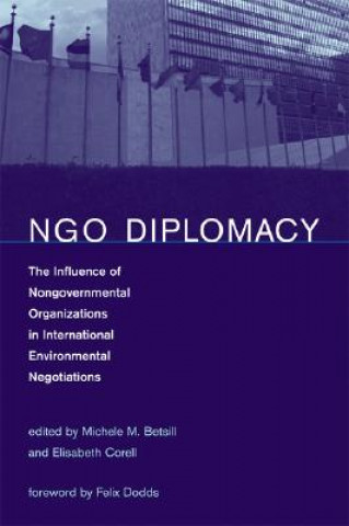 Kniha NGO Diplomacy 