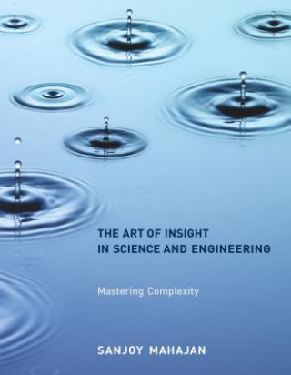 Kniha Art of Insight in Science and Engineering Sanjoy Mahajan