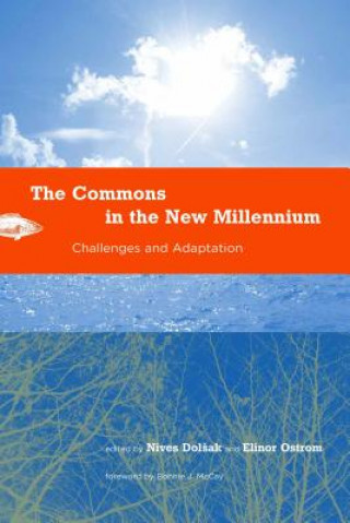 Carte Commons in the New Millennium Nives Dolsak