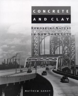 Kniha Concrete and Clay Matthew Gandy