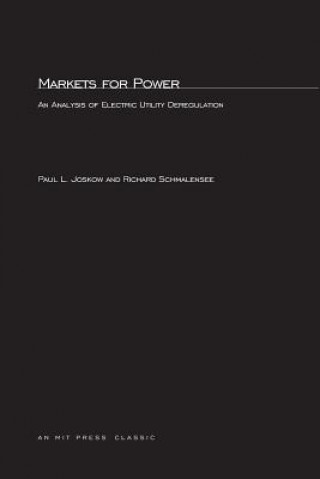 Kniha Markets for Power Richard L. Schmalensee