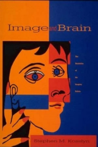 Kniha Image and Brain Stephen Michael Kosslyn