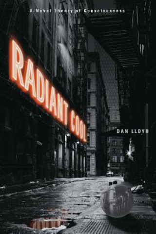 Book Radiant Cool Dan Lloyd