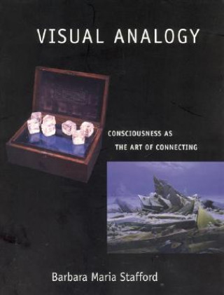 Livre Visual Analogy Barbara Maria Stafford